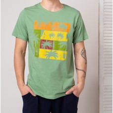 Мужская футболка зеленая 4748