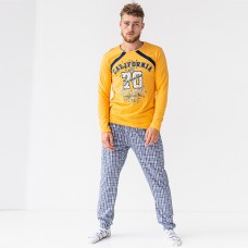 Пижама мужская штаны и джемпер 10203