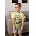 Комплект шорты и футболка для мальчика 10254