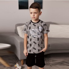 Комплект шорты и футболка для мальчика 10257