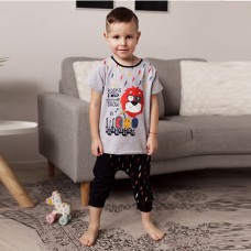Комплект шорты и футболка для мальчика 10262