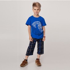 Комплект шорты и футболка для мальчика 10281