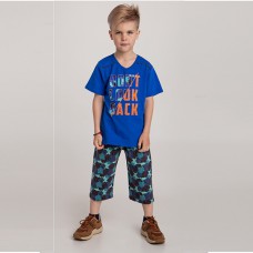 Комплект шорты и футболка для мальчика 10282