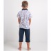 Комплект шорты и футболка для мальчика 10284