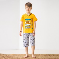 Комплект шорты и футболка для мальчика 10287