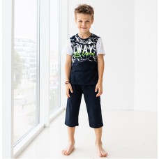 Комплект шорты и футболка для мальчика 10288