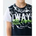 Комплект шорты и футболка для мальчика 10288
