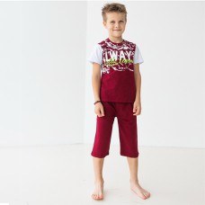 Комплект шорты и футболка для мальчика 10289