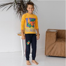 Комплект штаны и джемпер для мальчика 10294