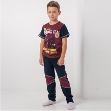 Комплект штаны и джемпер для мальчика 10303