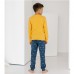Комплект штаны и джемпер для мальчика 10308