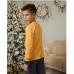 Піжама для хлопчика штани та жовта кофта з Диназавром 14873