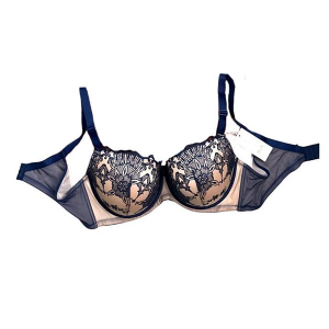 Бюстгальтер жіночий синьо-бежевий з пуш-ап Weiyesi 01198